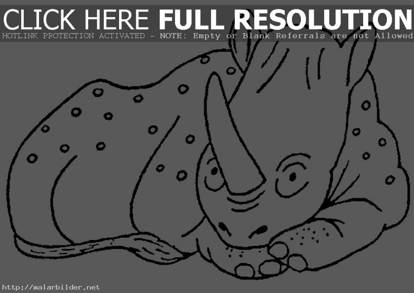 Målarbilder Djur, Rhino 1